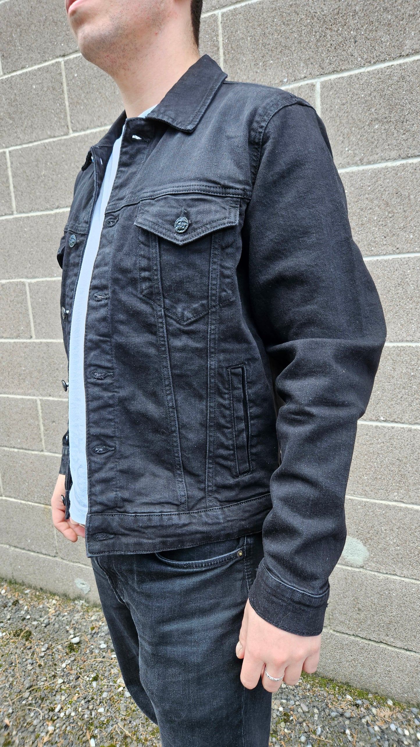 Giacca in jeans nero con dipinto a mano TIGRE CON SERPENTE tg M
